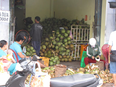 Rất nhiều điểm bán dừa xiêm giá rẻ thu hút người mua. Ảnh. baokhanhhoa.com.vn
